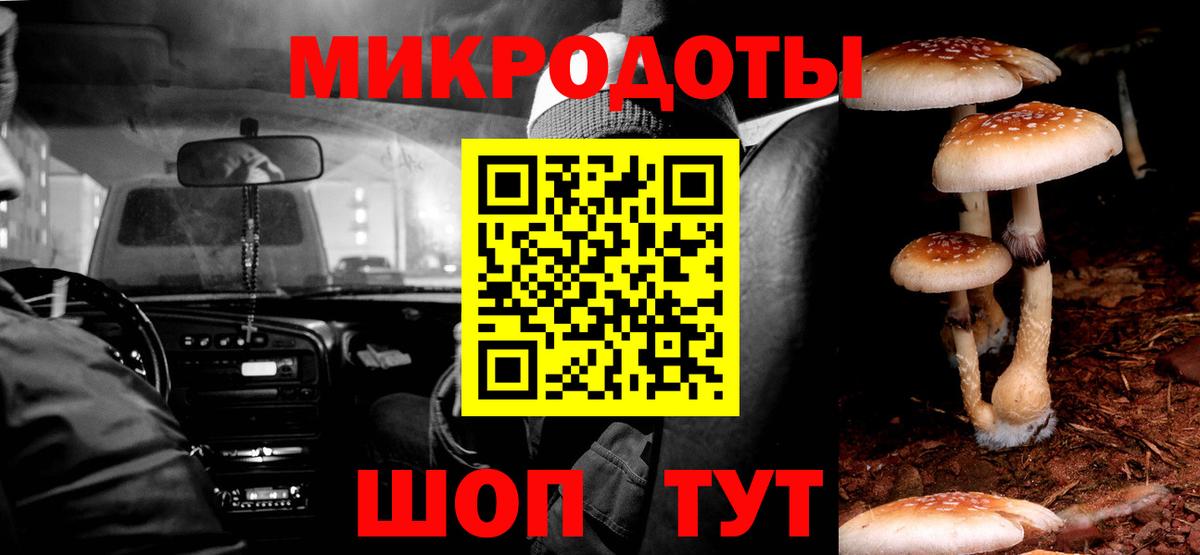 Галлюциногенные грибы Psilocybe  Псилоцибиновые грибы мицелий  Донской  Вход с VPN 