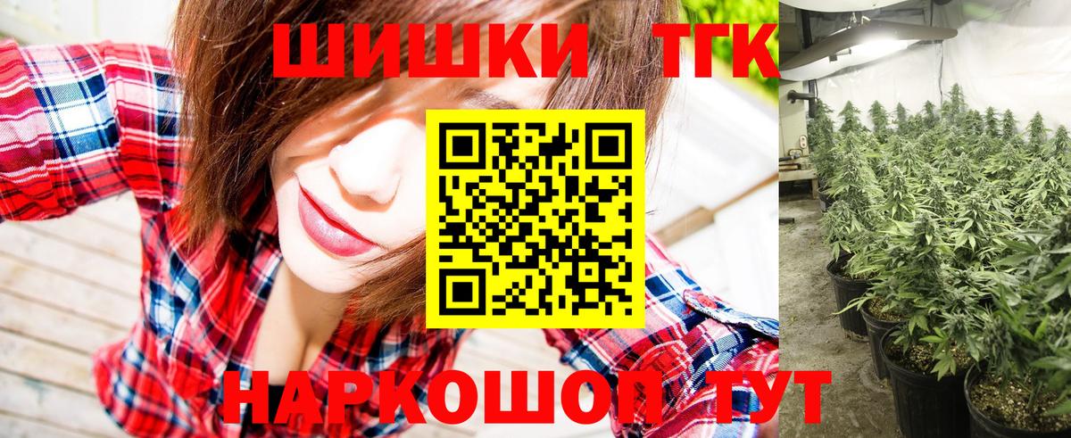 Конопля планчик Донской